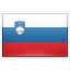 Slovenia Flag