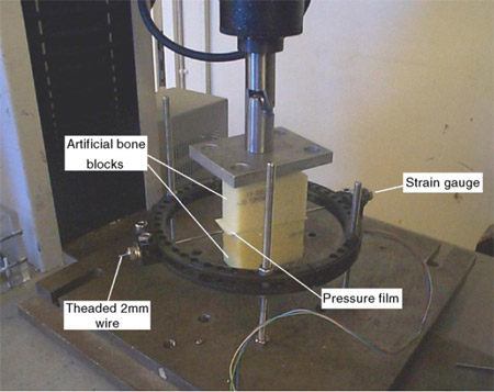 experimental model