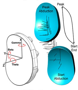 Figure 28 Axes definition of the glenoid with respect to a left shoulder complex shown on the white glenoid. The complex motion path of the glenoid in abduction and adduction over one test cycle is shown by the blue glenoid.