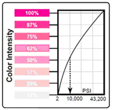 Versus Chart