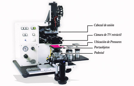 Pressurex® muestra el perfil de presión en superficie de una unión flip chip.