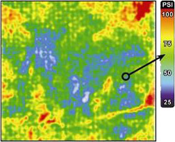 Pressurex Pressure Profile after Image Analysis