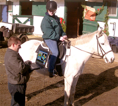 equestrics on site