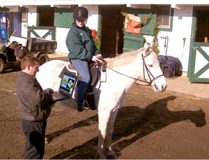 Equestrics Sensor instantly reveals riders pressure on saddle.