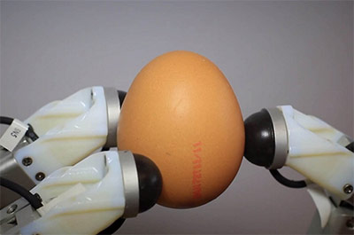 Multi Vector - Sensor Holding Egg