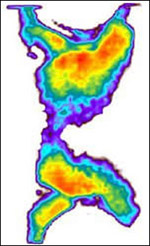 Thin sensor measures interface force distribution