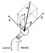 Abb. 3.14: Richtung von R dargestellt am Kopf einer instrumentierten rechten Hftendoprothese, die y-Achse wrde in dieser Ansicht von kranial nur einen Punkt darstellen, ist aber zur Verdeutlichung als Achse gezeichnet, nhere Erluterungen siehe Text (Abb. nach Page et al., 1993).