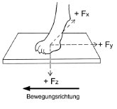 Abb. 11: Bodenreaktionskrfte beim Hund. Fz = Vertikalkrfte, Fy = Horizontalkrfte, Fx = Mediolateralkrfte (Budsberg et al., 1987).