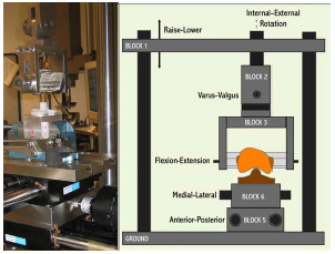 Figure 3-1: LEFT  Posterior view of experimental apparatus. RIGHT- Schematic of experimental setup for the testing of anteroposterior constraint and internal-external rotational constraint. Varus-valgus rotation and superiorinferior translation were the only secondary motions allowed during either AP or IE constraint trials.