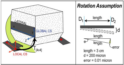 Figure 6-4: Schematic illustrating the location of global and local coordinate systems (CS) (left). The red dots indicate the contact points of DVRTs with aluminum wings. Since each DVRT was aligned with the global y-axis, for each frame of data a new y-coordinate could be determined for each contact point and subsequently a new 4x4 transformation from local CS to global CS. This is based upon the rotation assumption illustrated (right).