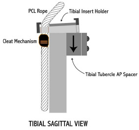 Figure C-5: Sagittal view of tibial PCR segment. A cleat mechanism was used to fix the PCL rope to the tibial egment. Attachment occurred ~3cm below the joint lie. A tibial tubercle spacer allowed specifications of the anterior-posterior location of the attachment point and the superior-inferior degree of freedom allowed simulation of joint line elevations.