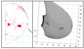 Figure D-2: LEFT  Scanned image of contact area location on fuji film. RIGHT  Triangulated mesh with real contact (RED) and computationally determined contact (BLUE) with a contact detection threshold of 0.8562 mm.