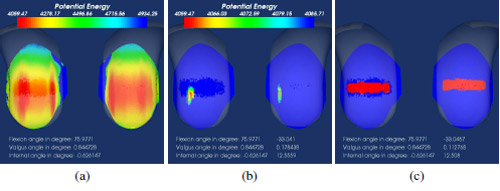 Fig. 2. Contact predicted by the FKK model and the contact determination algorithm