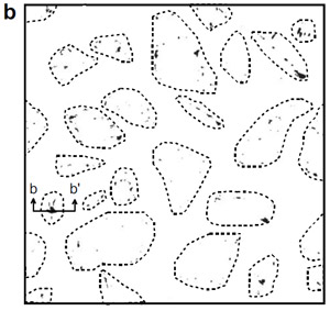 fig 14b