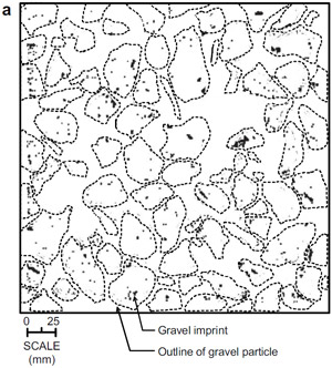 fig 5a