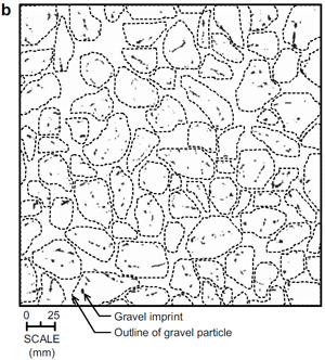 fig 5b