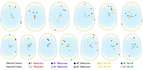 Figure 25 Unscaled patient specific glenoid contact locations and humeral head center locations on the glenoid articular surface as a function of arm position, shown by color code. All right shoulder locations were mirrored to left glenoid components.