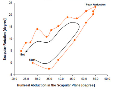 Figure 30 Scapular rotation about the glenoid midline (Y axis) versus abduction / adduction of the humerus relative to the vertical in the plane of the scapula. Hysteresis is exhibited between the transition from abduction to adduction.