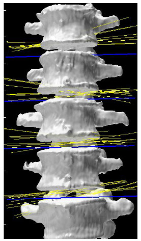 fig 21