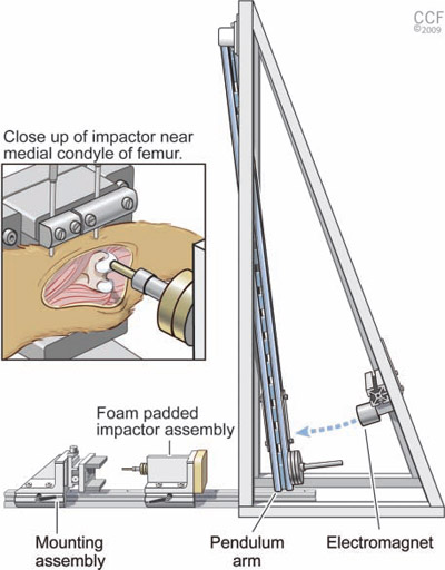 impact apparatus