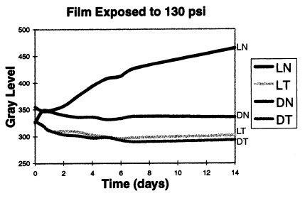 Figure 1. Gray level of Fuji film exposed to 130 psi over time for four conditions: exposed to light and taped (LI), exposed to light and not taped (LN), stored in dark and taped (DI), and stored in dark and not taped (DN).