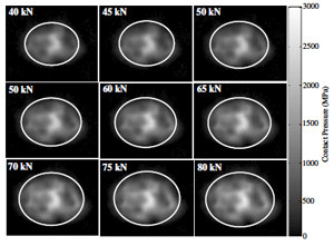 Fig. 1. Contact pressure maps measured by scanning an ultrasonic transducer across the contact for a range of normal loads (data from [1]).