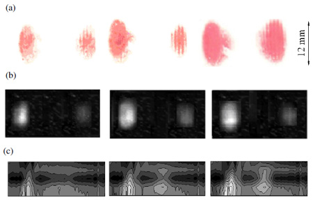 Fig. 13. Experimental and theoretical approaches for contact area measurement for three normal loads 20 kN, 40 kN, and 80 kN plotted at the same scale. (a) Pressure sensitive film, (b) scans of the contact using a single transducer, (c) scans of the contact using an array transducer.