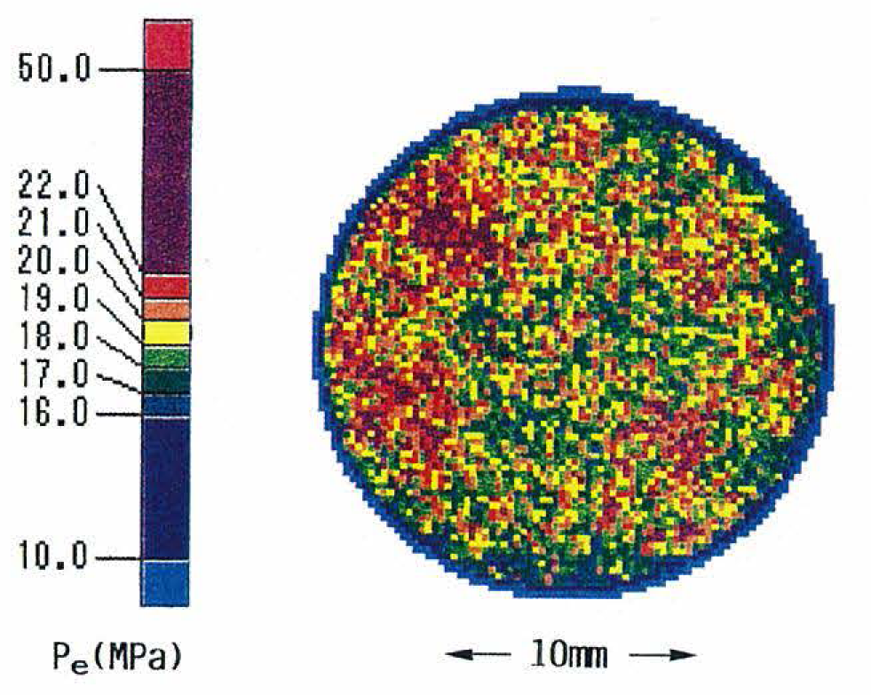 Electronic Densitometer