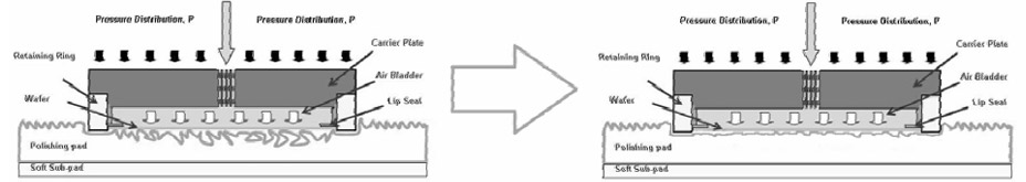 Pressure Distribution