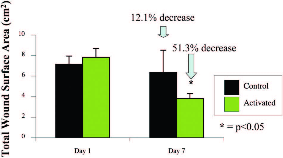 Biomechanics - Fig.6