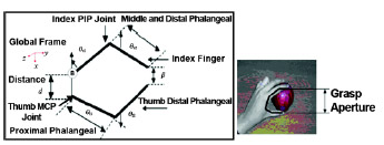 Figure 2. Proposed grasp model showing grasp aperture (β) as dictated by distance (d) between tip of index finger and thumb. Hand shows application concept for model. MCP = metacarpophalangeal, PIP = proximal interphalangeal, θ = joint angles, B = base frame.