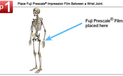 Biomechanics